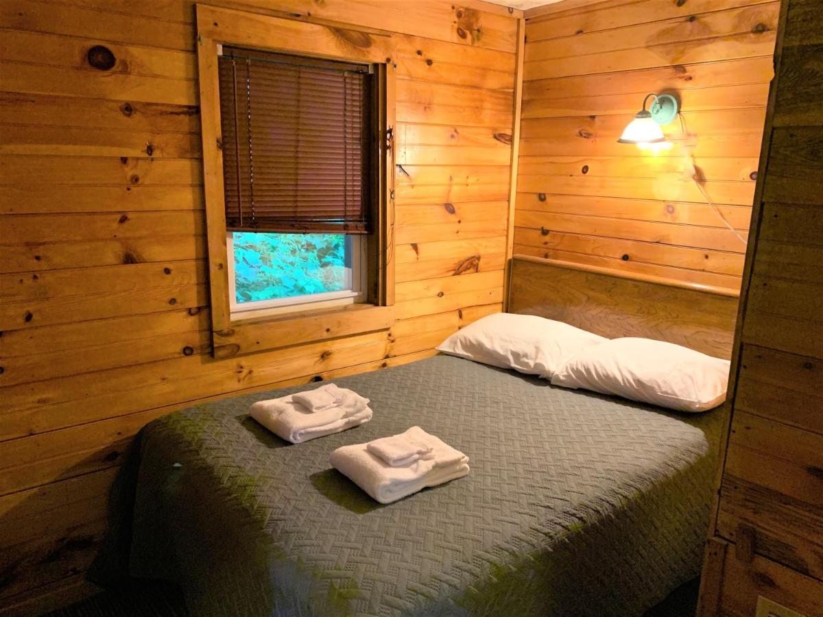 Barton Pine Crest Motel & Cabins المظهر الخارجي الصورة